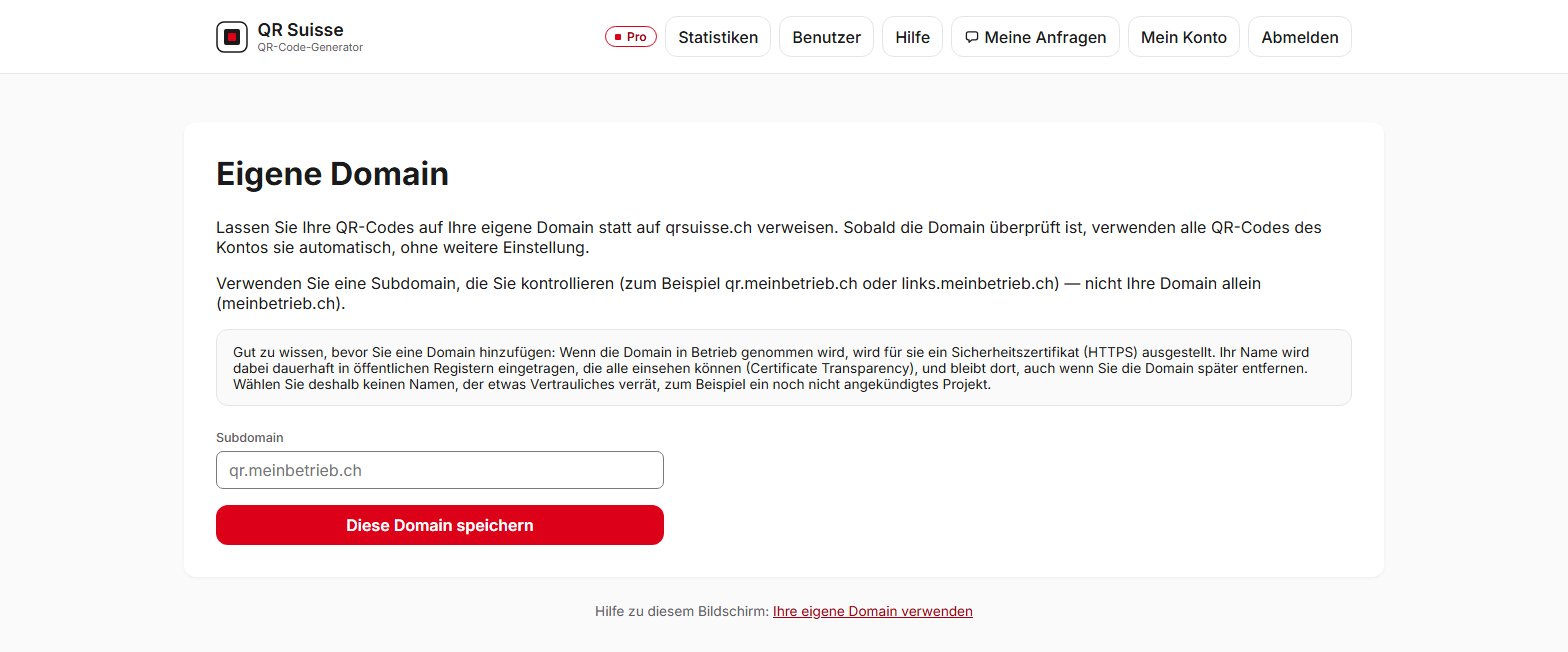 Bildschirm zur Konfiguration der eigenen Domain in QR Suisse — Demo-Konto, fiktive Daten.