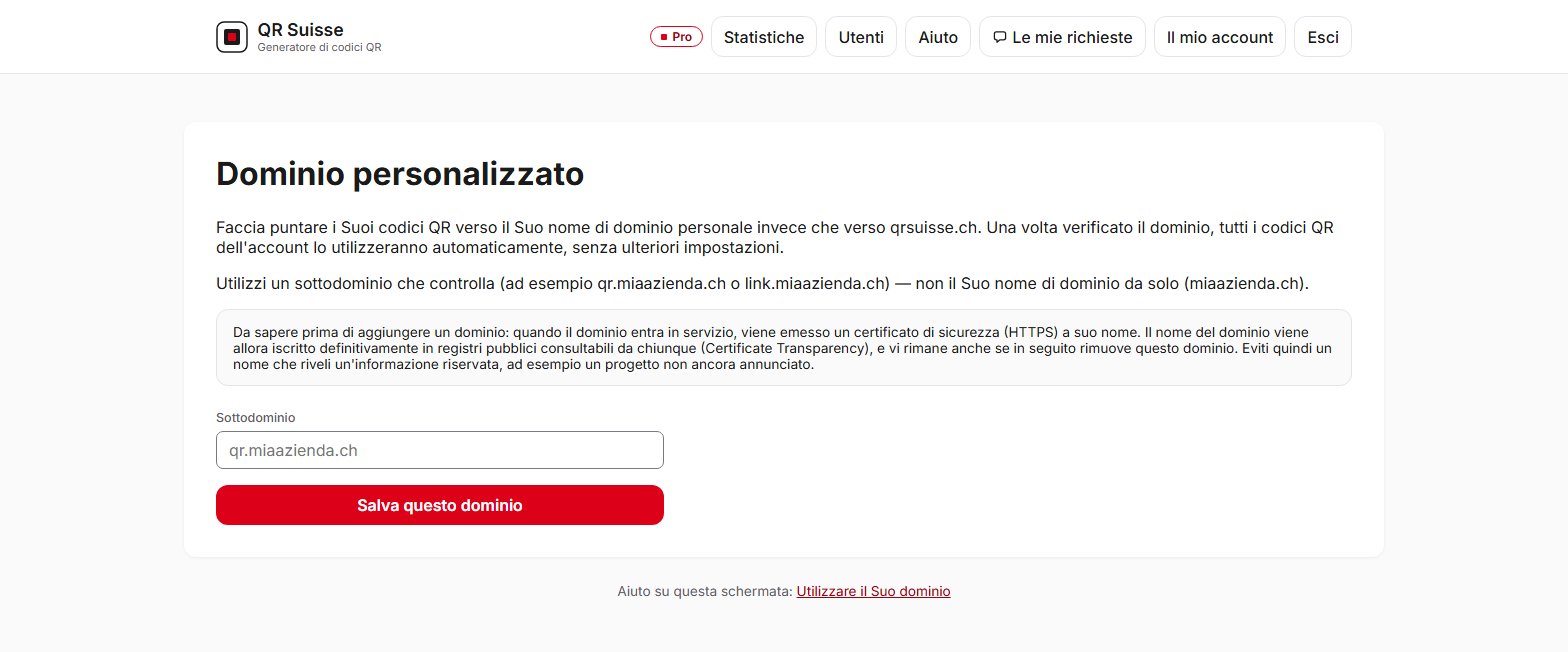 Schermata di configurazione del dominio personalizzato in QR Suisse — account dimostrativo, dati fittizi.